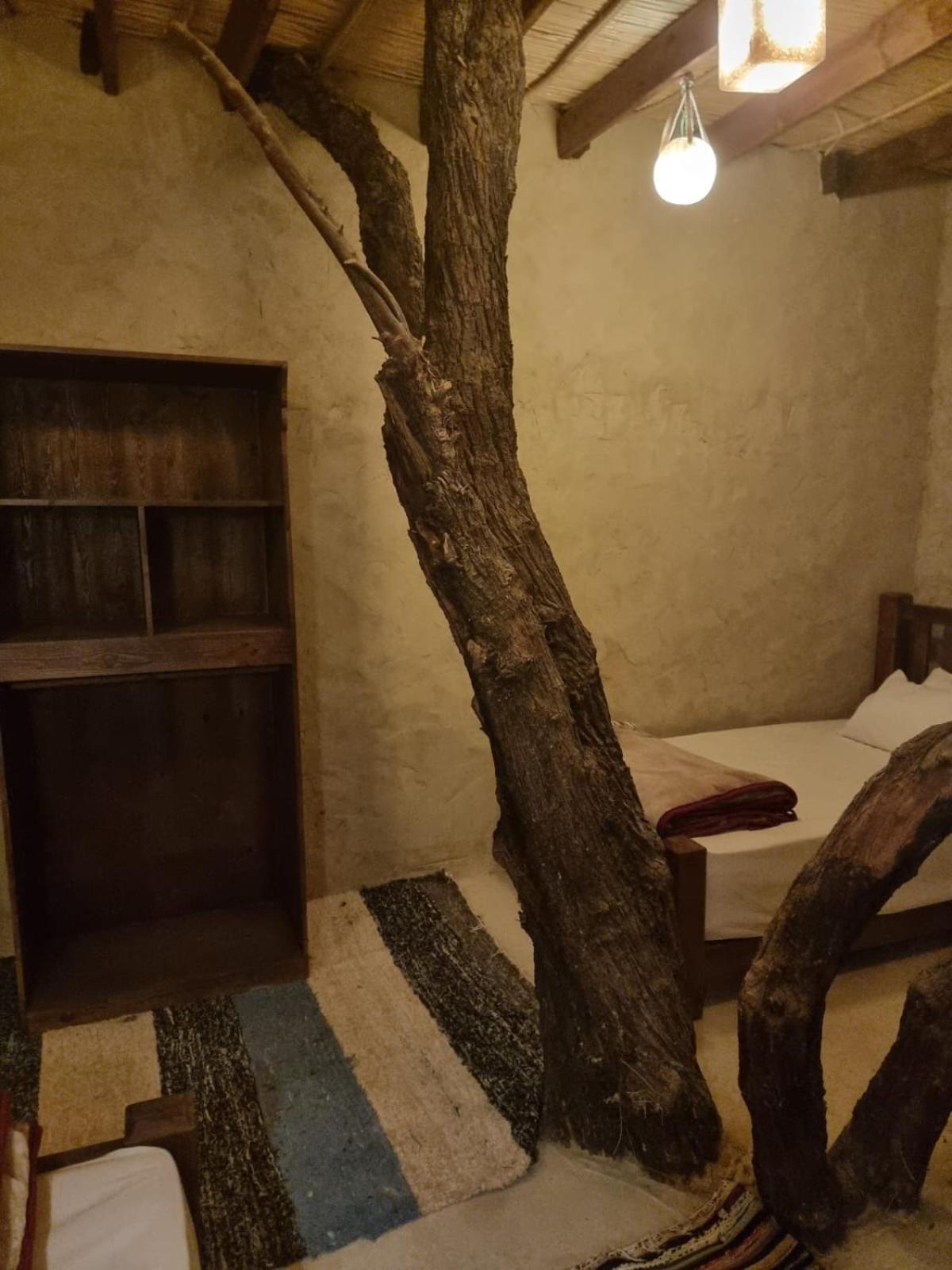 Ostello Olive Garden House Siwa Siwa Oasis Esterno foto