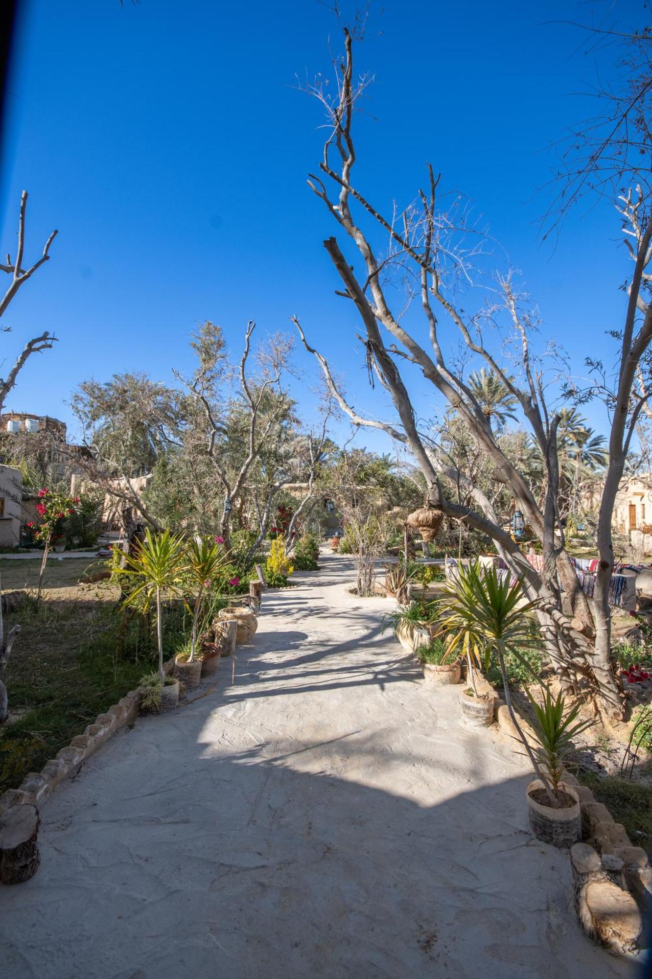 Ostello Olive Garden House Siwa Siwa Oasis Esterno foto
