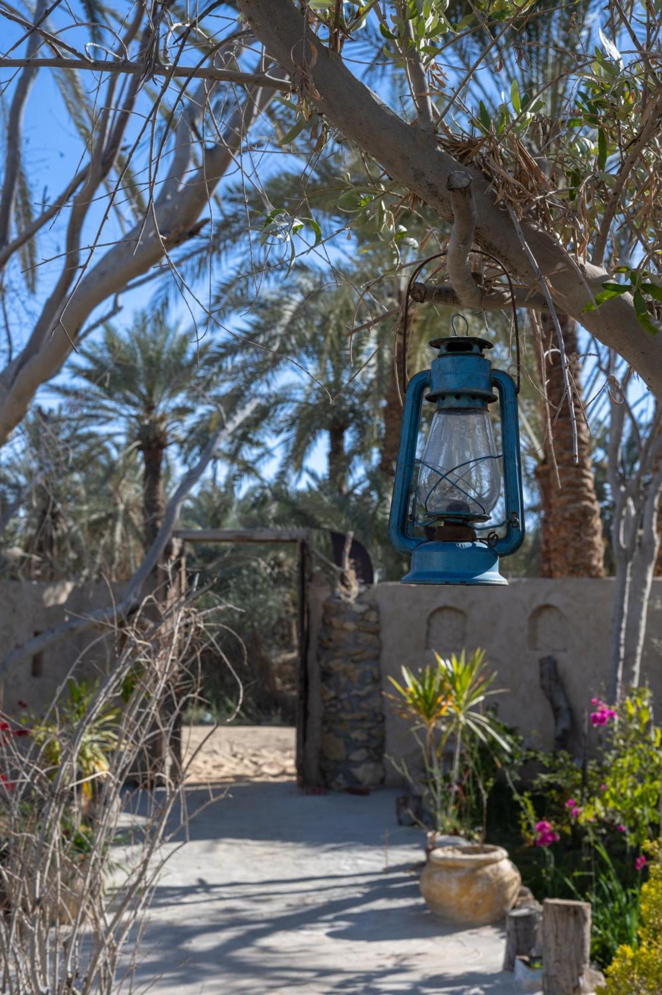 Ostello Olive Garden House Siwa Siwa Oasis Esterno foto