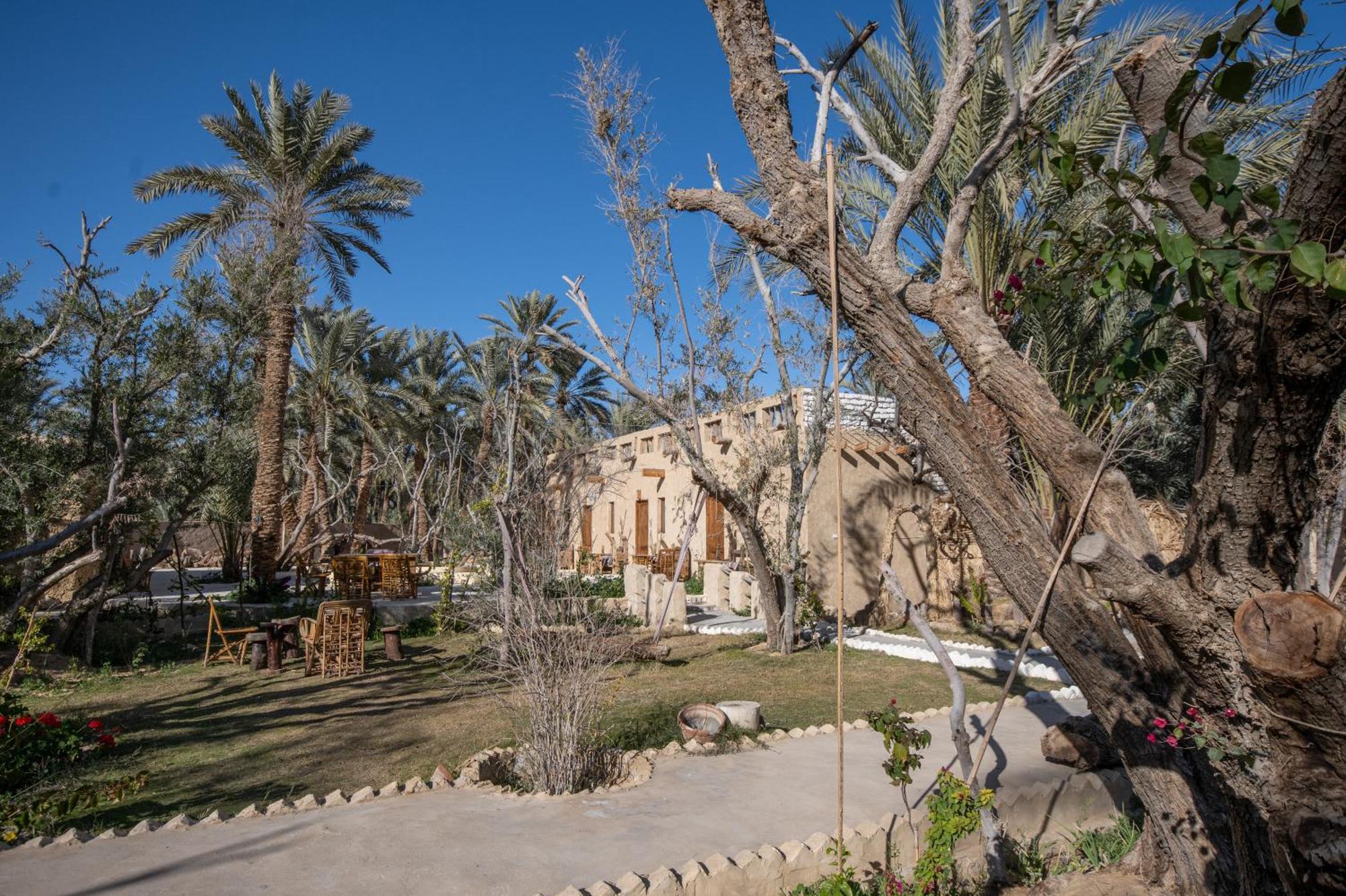 Ostello Olive Garden House Siwa Siwa Oasis Esterno foto
