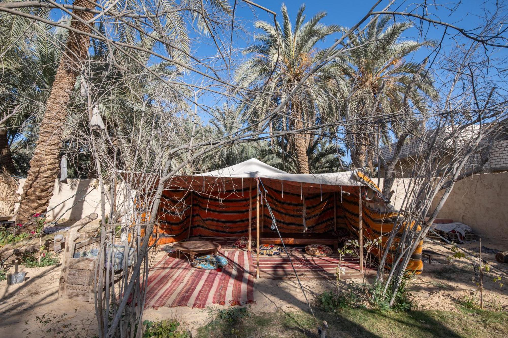 Ostello Olive Garden House Siwa Siwa Oasis Esterno foto