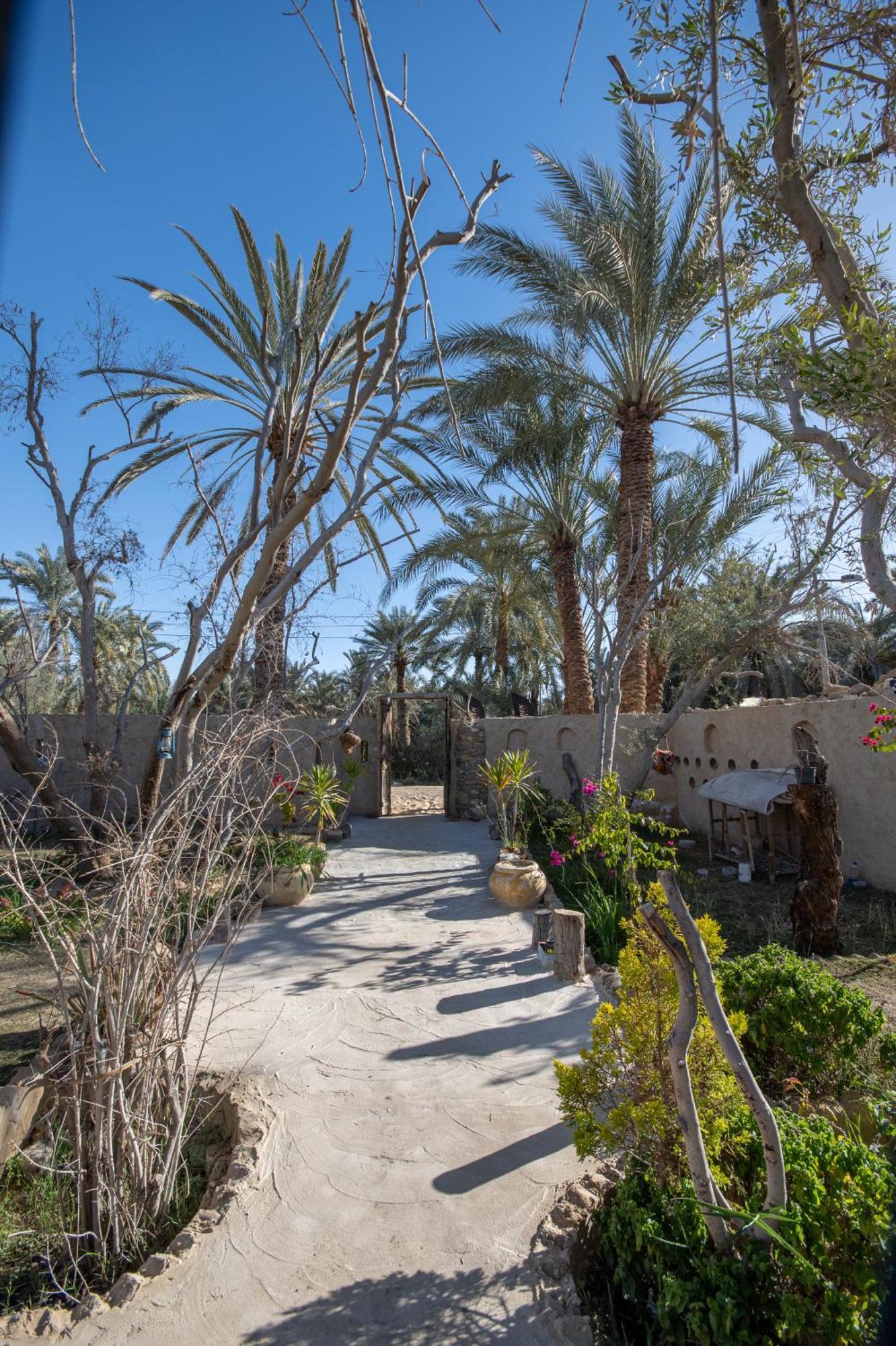 Ostello Olive Garden House Siwa Siwa Oasis Esterno foto