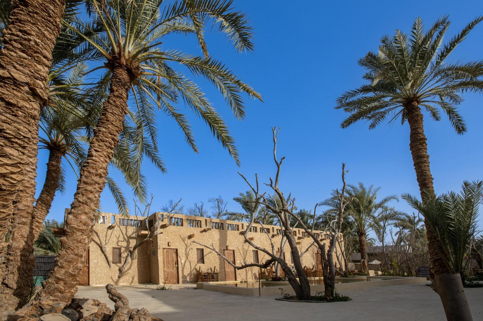 Ostello Olive Garden House Siwa Siwa Oasis Esterno foto