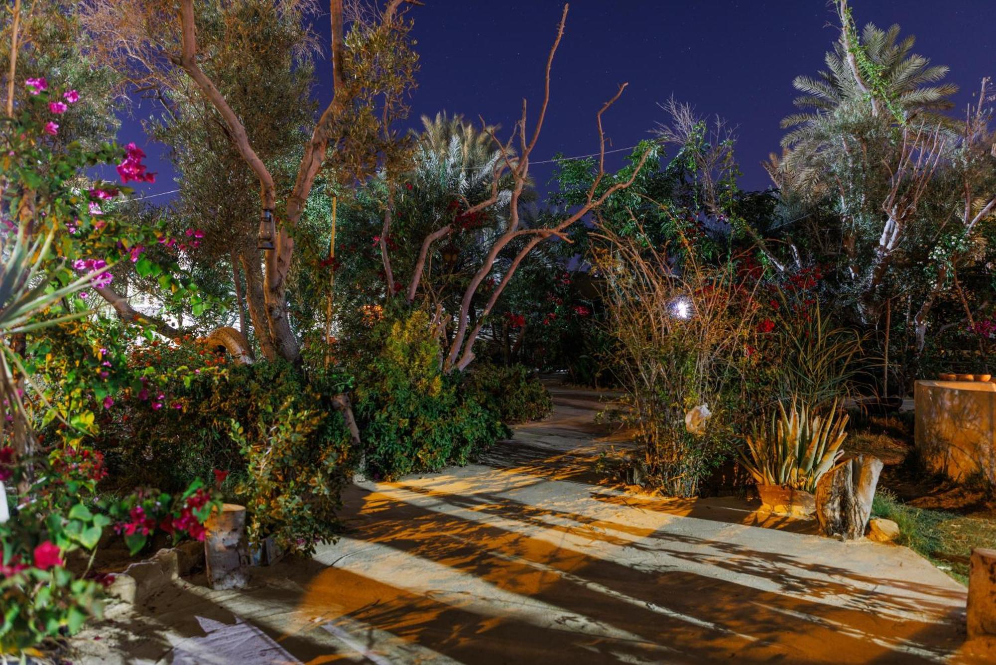 Ostello Olive Garden House Siwa Siwa Oasis Esterno foto