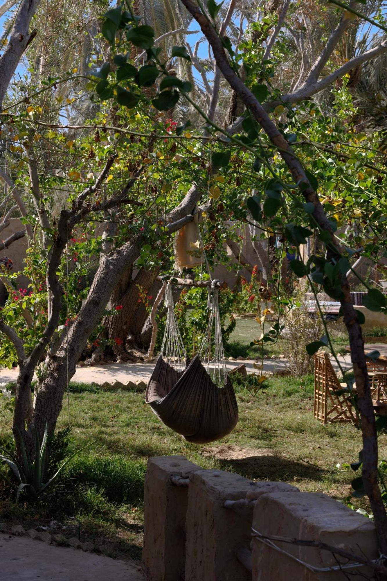Ostello Olive Garden House Siwa Siwa Oasis Esterno foto